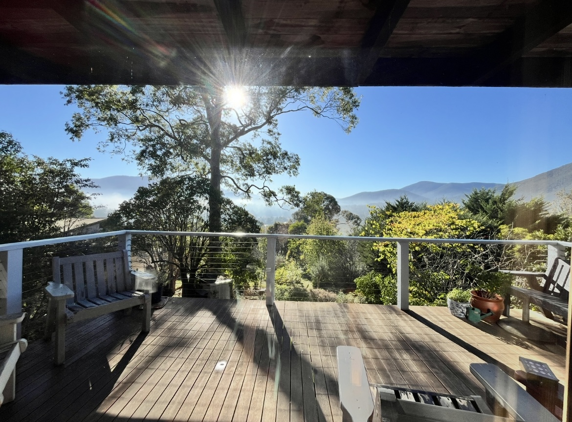 Morning sun coming through the remaining canopy onto the same deck
